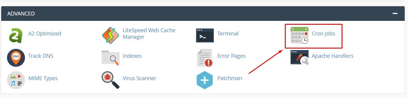 Cron Job Menu in CPanel