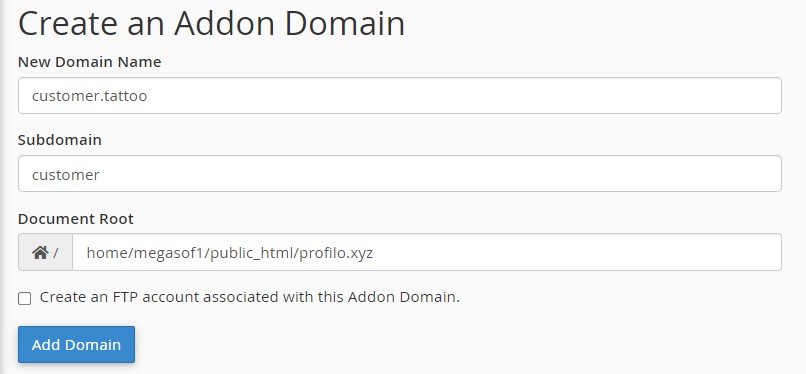 Custom Domain Form