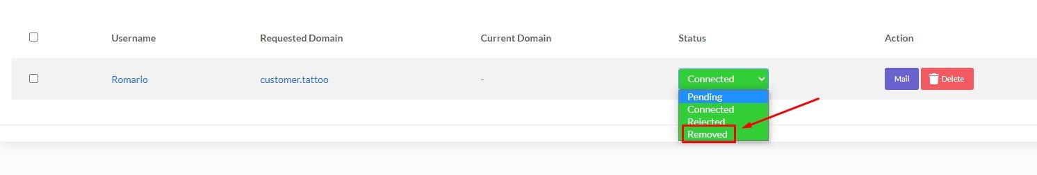 Remove Custom Domain