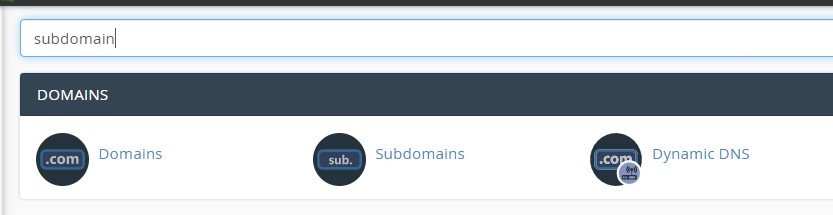Search for Subdomains